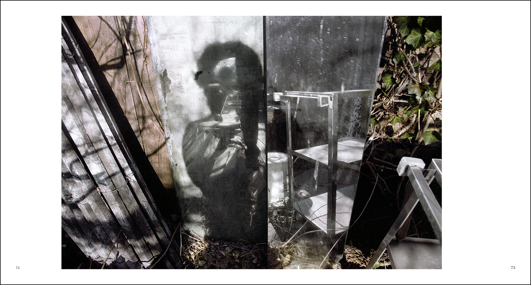 LIKENESS: Self-Portraits by Janet Neuhauser