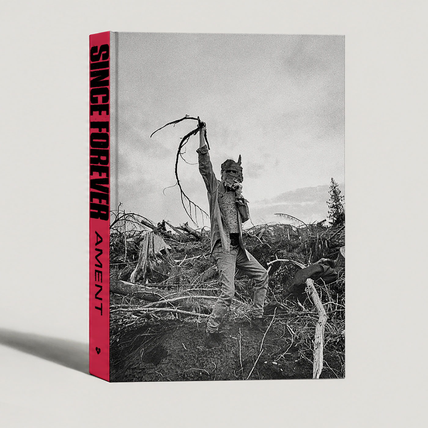 Since Forever by Jeff Ament with Barry Ament